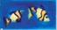 S23. Clown fish