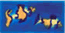S24. Clown fish B