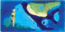 S25. Parrot fish
