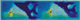 JA16. Parrot fish