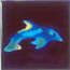title_small_dolphin