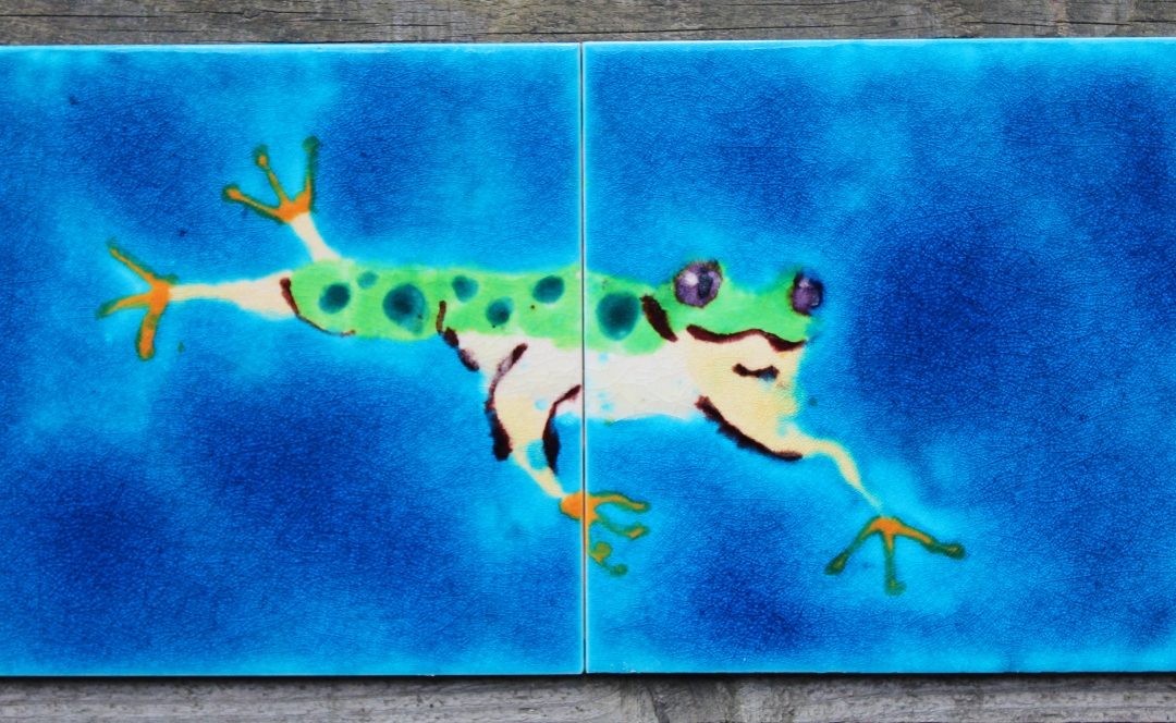 Frog 2 tile splashback mural