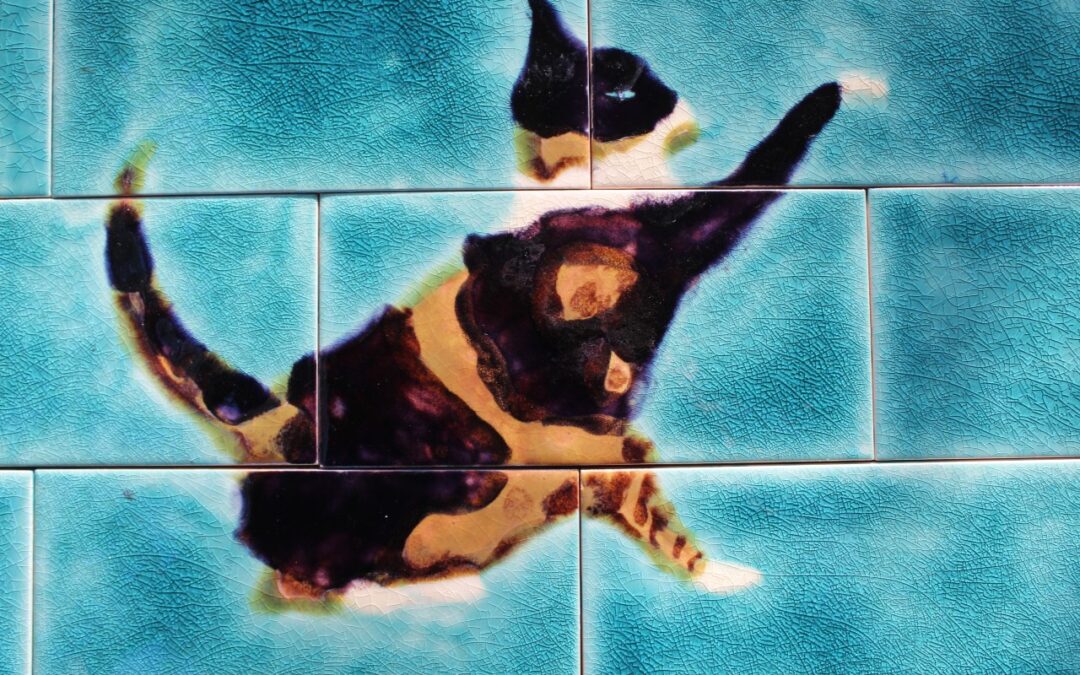Cat tile splashback tile mural