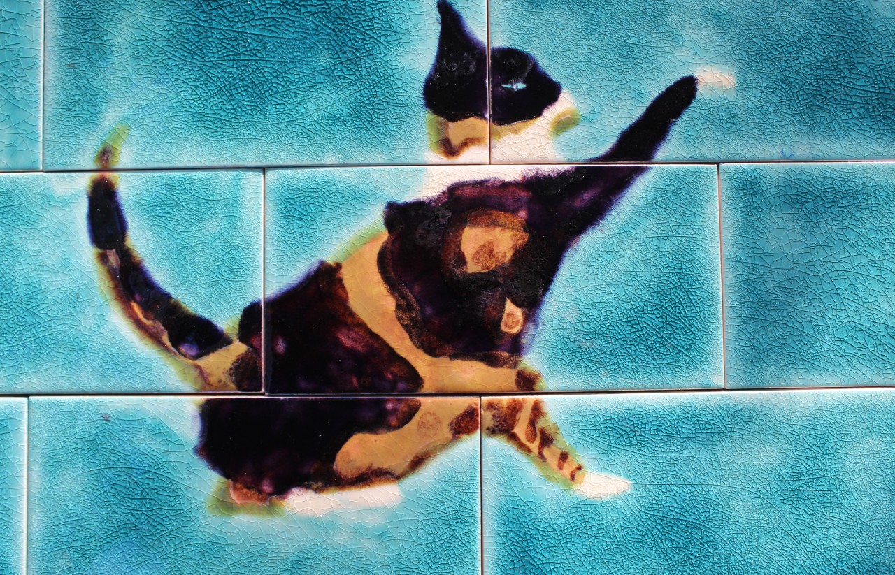 Cat tile splashback tile mural
