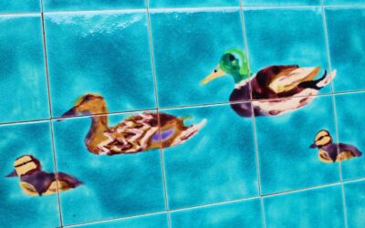 Artisan wall tile mural … do you like Ducks ?