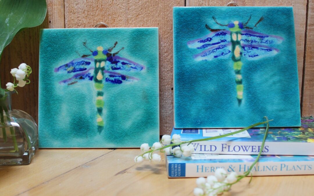 New gorgeous picture Dragonfly tiles – perfect for gifts !