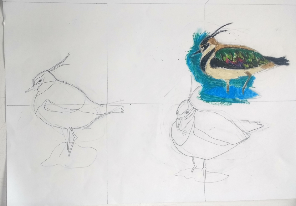 Bespoke Bird art tile sketch
